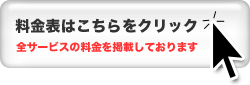 T[rX̗\